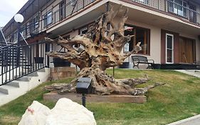 Bristlecone Motel